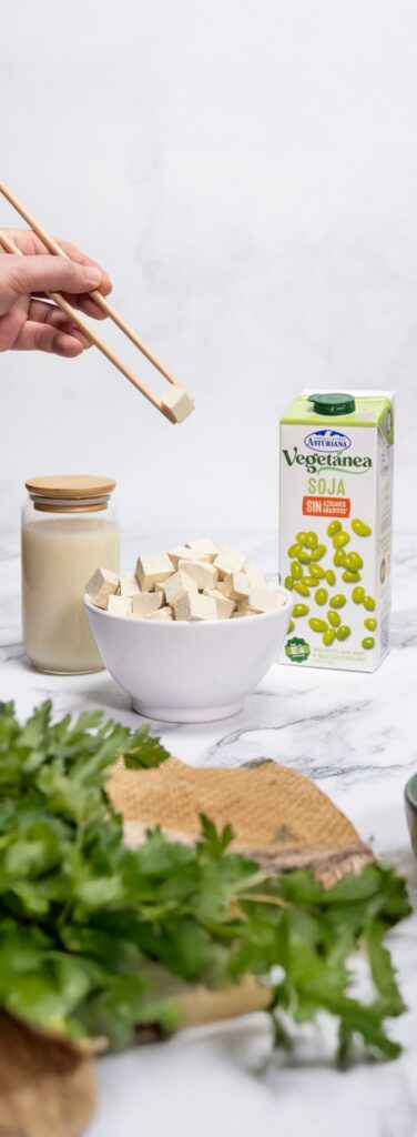 4 Recetas fáciles con Tofu